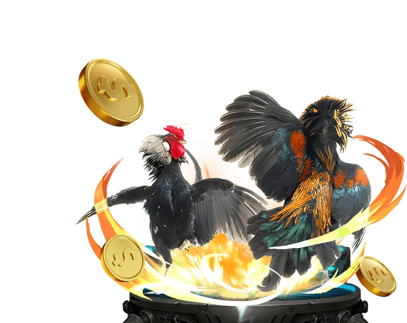 Giao diện cá cược đá gà M98 Nhà Cái